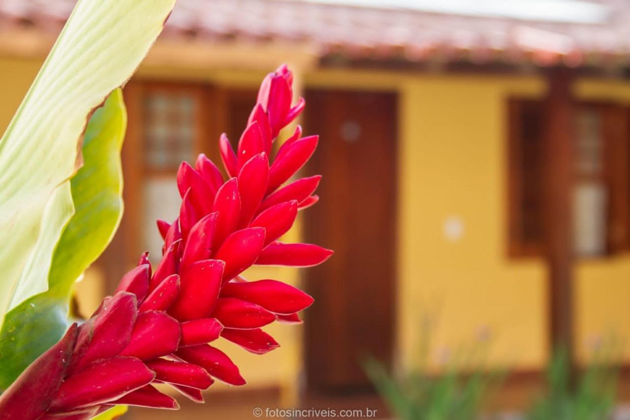 Pousada Natureza Divina Araquari Exterior foto